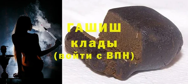 СК Алексин