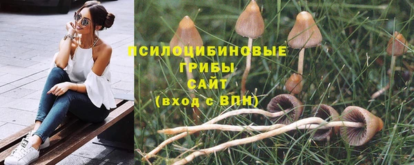 дживик Осинники