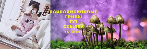 не бодяженный Абдулино